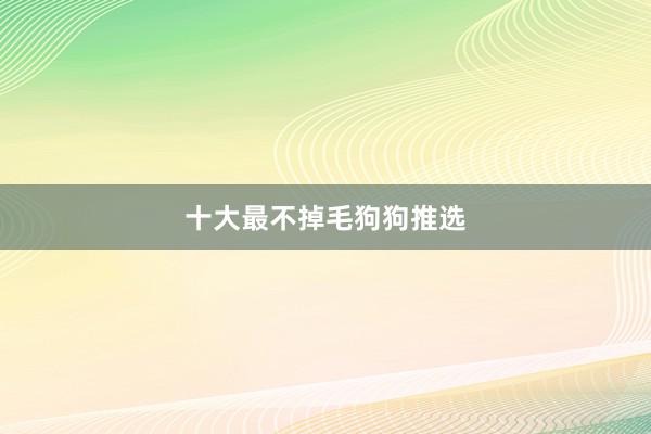 十大最不掉毛狗狗推选